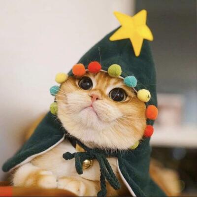 Gab profile picture for @christmas