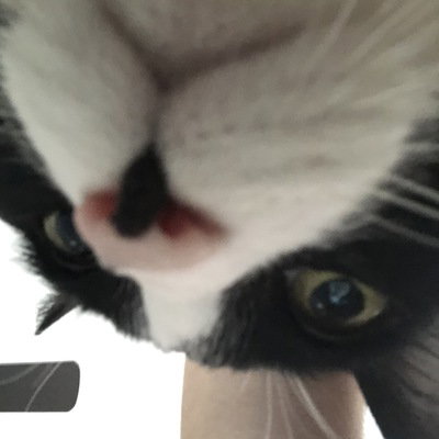 Gab profile picture for @Philadelphia