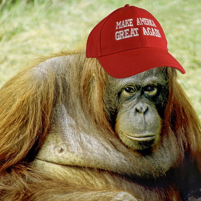 Gab profile picture for @ChuckS