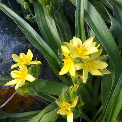 Mark (@Gift_ofthe_Gab) · Gab.com - Gab Social