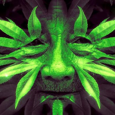 Gab profile picture for @coney
