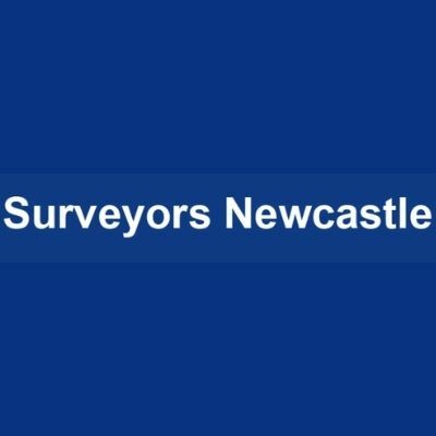 Gab profile picture for @surveyors