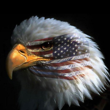 Gab profile picture for @Unconstitutional