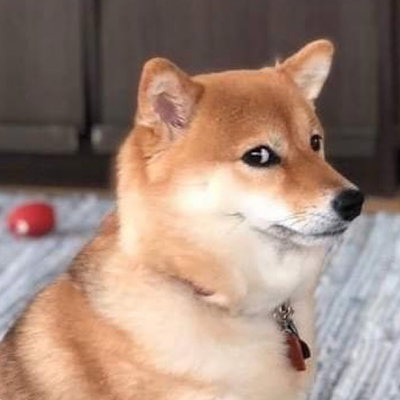Gab profile picture for @Mulch