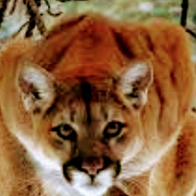 Gab profile picture for @Luke67