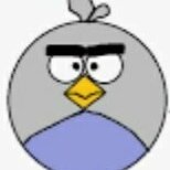 Gab profile picture for @salmonella