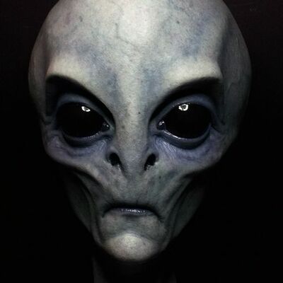 Gab profile picture for @Divorced
