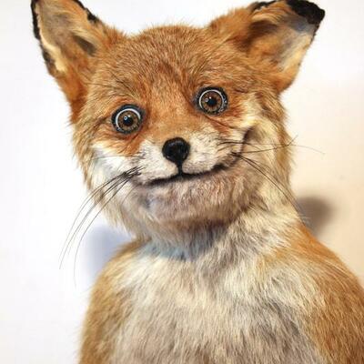 Gab profile picture for @ligament
