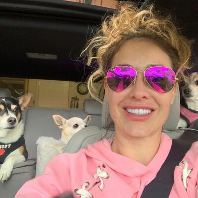 Gab profile picture for @Charlottesville