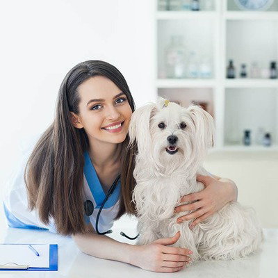 Gab profile picture for @veterinarian