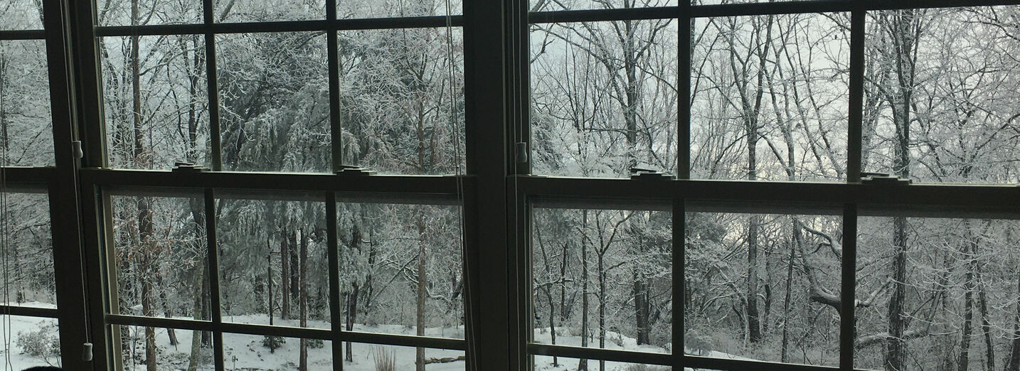 Gab banner for @winter