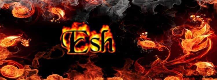Gab banner for @Esh