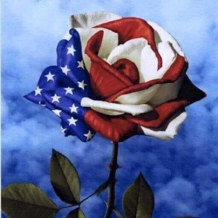 Gab banner for @xcoder