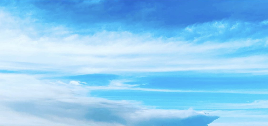 Gab banner for @Leash