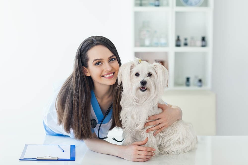 Gab banner for @veterinarian