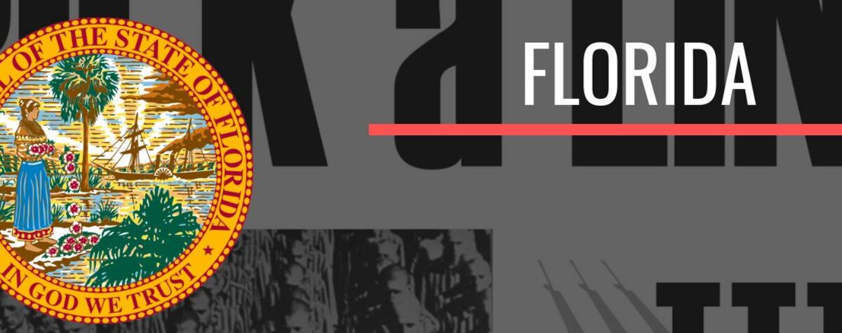 TheIII%Organization Florida · Group · Gab.com - Gab Social