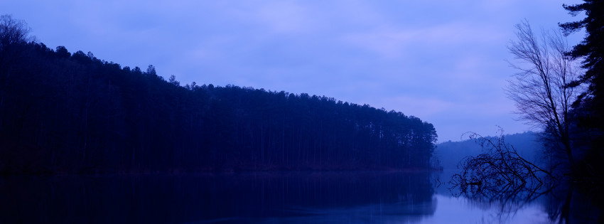 Gab banner for @trenton