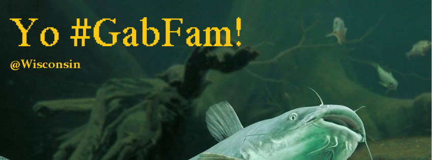 Gab banner for @Wisconsin