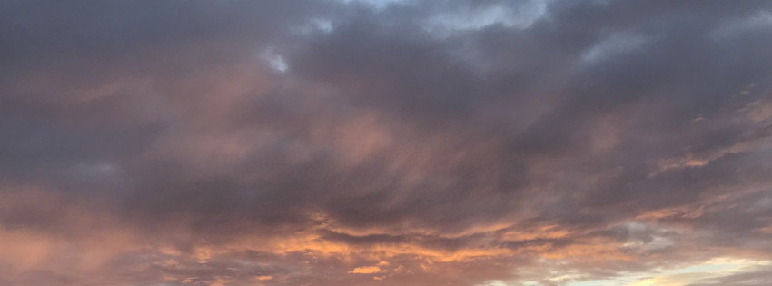 Gab banner for @Betty