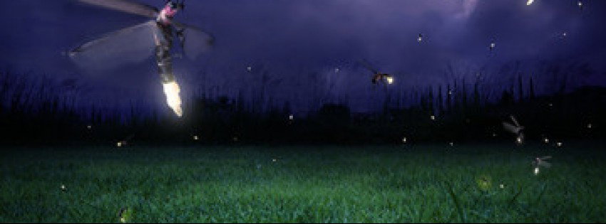 Gab banner for @Fireflies
