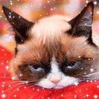 Gab profile picture for @Lozz