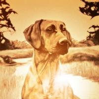Gab profile picture for @Mrs