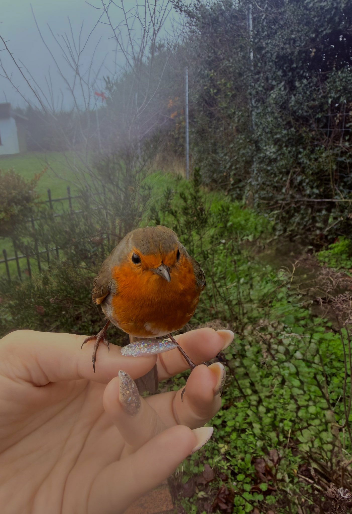 Pièce jointe multimédia