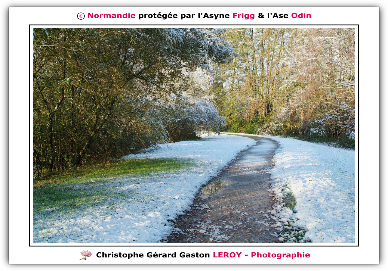 Neige sur les voies vertes de L'Aigle - Suite 8 Neige sur les voies vertes de L'Aigle - Suite 8
