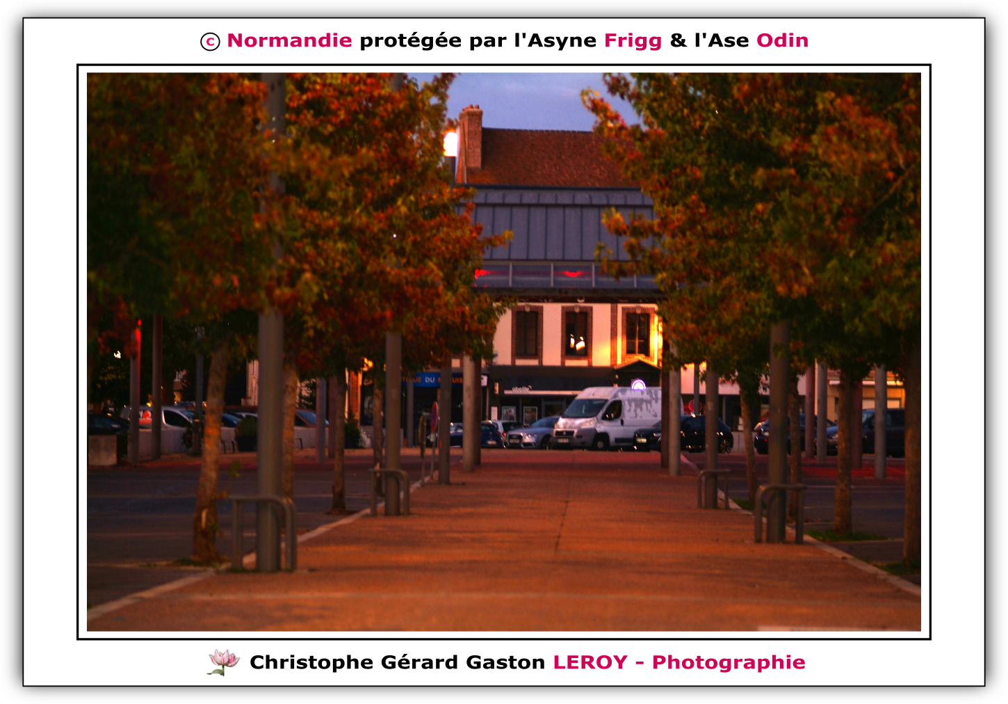 Carl Zeiss 100mm f/2 Makro-Planar T* - Fujifilm Finepix S3 Pro : L'Aigle - Pays D'Ouche - Orne - Normandie - Francce Carl Zeiss 100mm f/2 Makro-Planar T* - Fujifilm Finepix S3 Pro : L'Aigle - Pays D'Ouche - Orne - Normandie - Francce