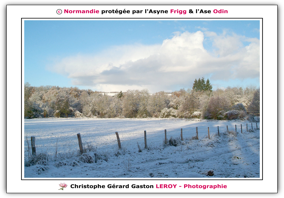 Neige sur les voies vertes de L'Aigle - Suite 7 Neige sur les voies vertes de L'Aigle - Suite 7