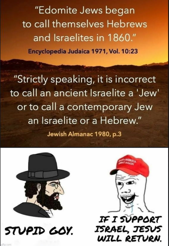 36ee51b143efe93c239a04b469541556.jpeg