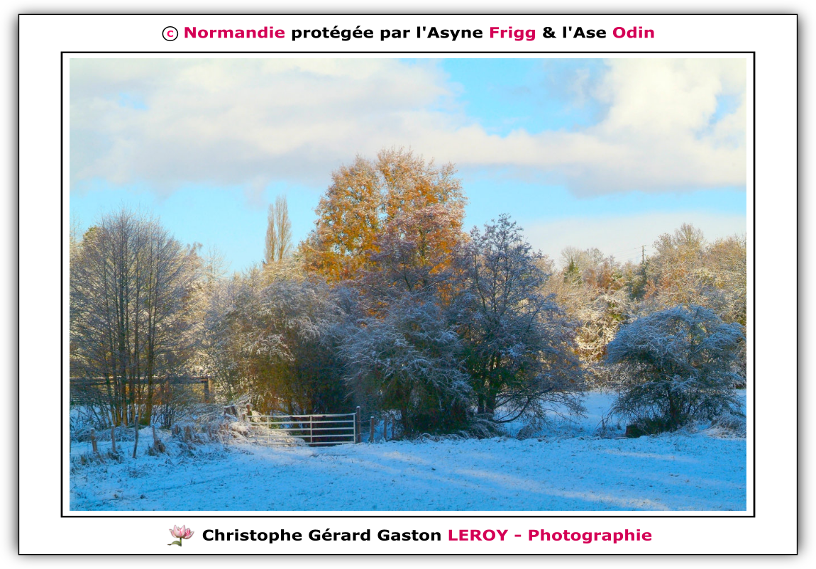 Neige sur les voies vertes de L'Aigle - Suite 7 Neige sur les voies vertes de L'Aigle - Suite 7
