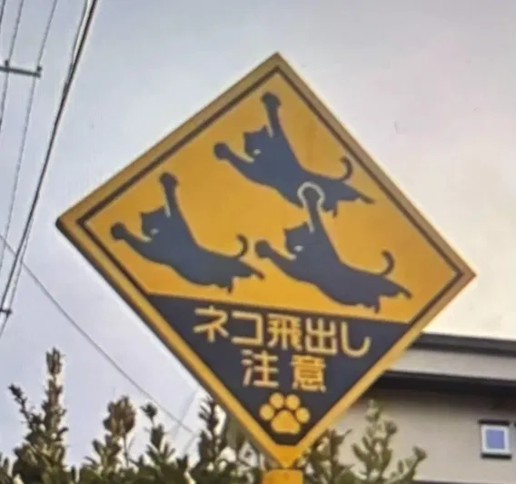 [Image: 42cb8ab9049b1aa7588f010ea368b39b.webp?width=568]