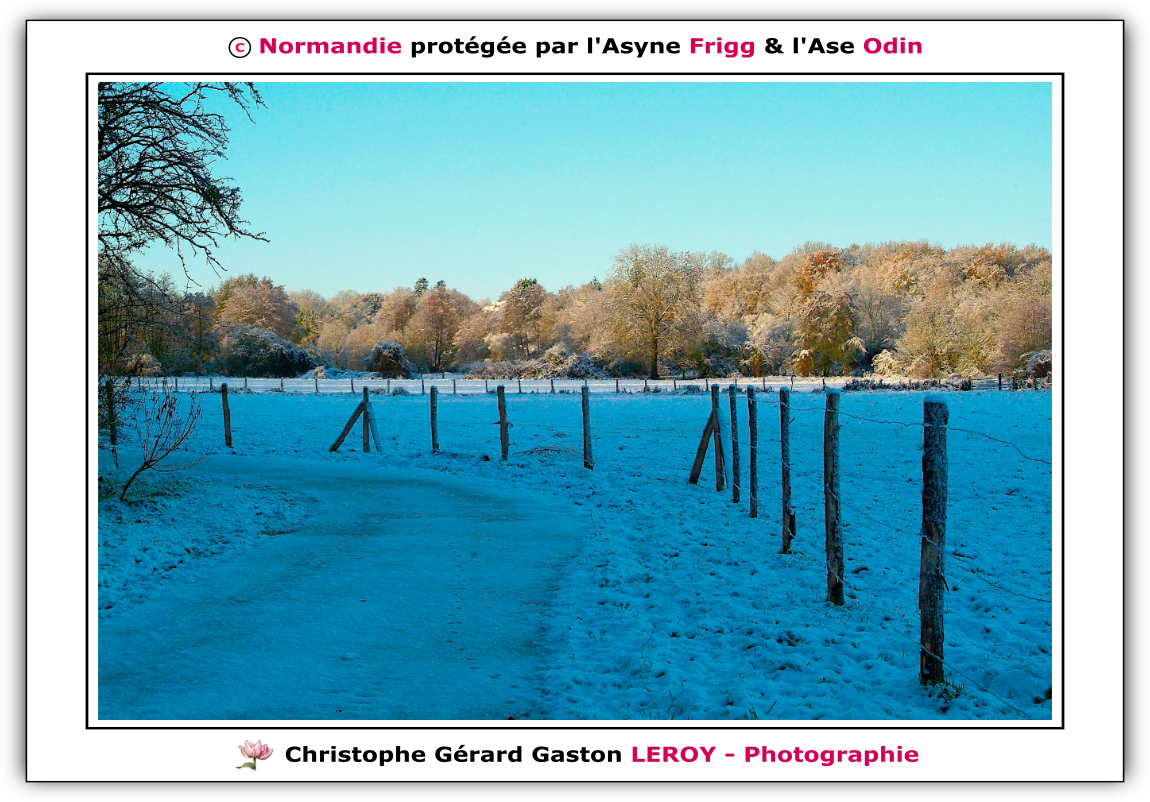 Neige sur les voies vertes de L'Aigle - Suite 6 Neige sur les voies vertes de L'Aigle - Suite 6
