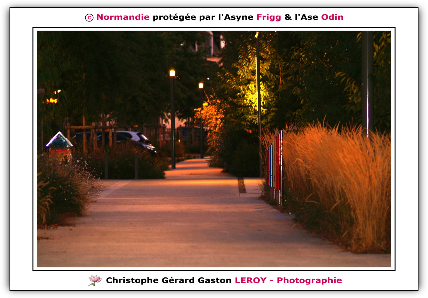 Carl Zeiss 100mm f/2 Makro-Planar T* - Fujifilm Finepix S3 Pro : L'Aigle - Pays D'Ouche - Orne - Normandie - Francce Carl Zeiss 100mm f/2 Makro-Planar T* - Fujifilm Finepix S3 Pro : L'Aigle - Pays D'Ouche - Orne - Normandie - Francce