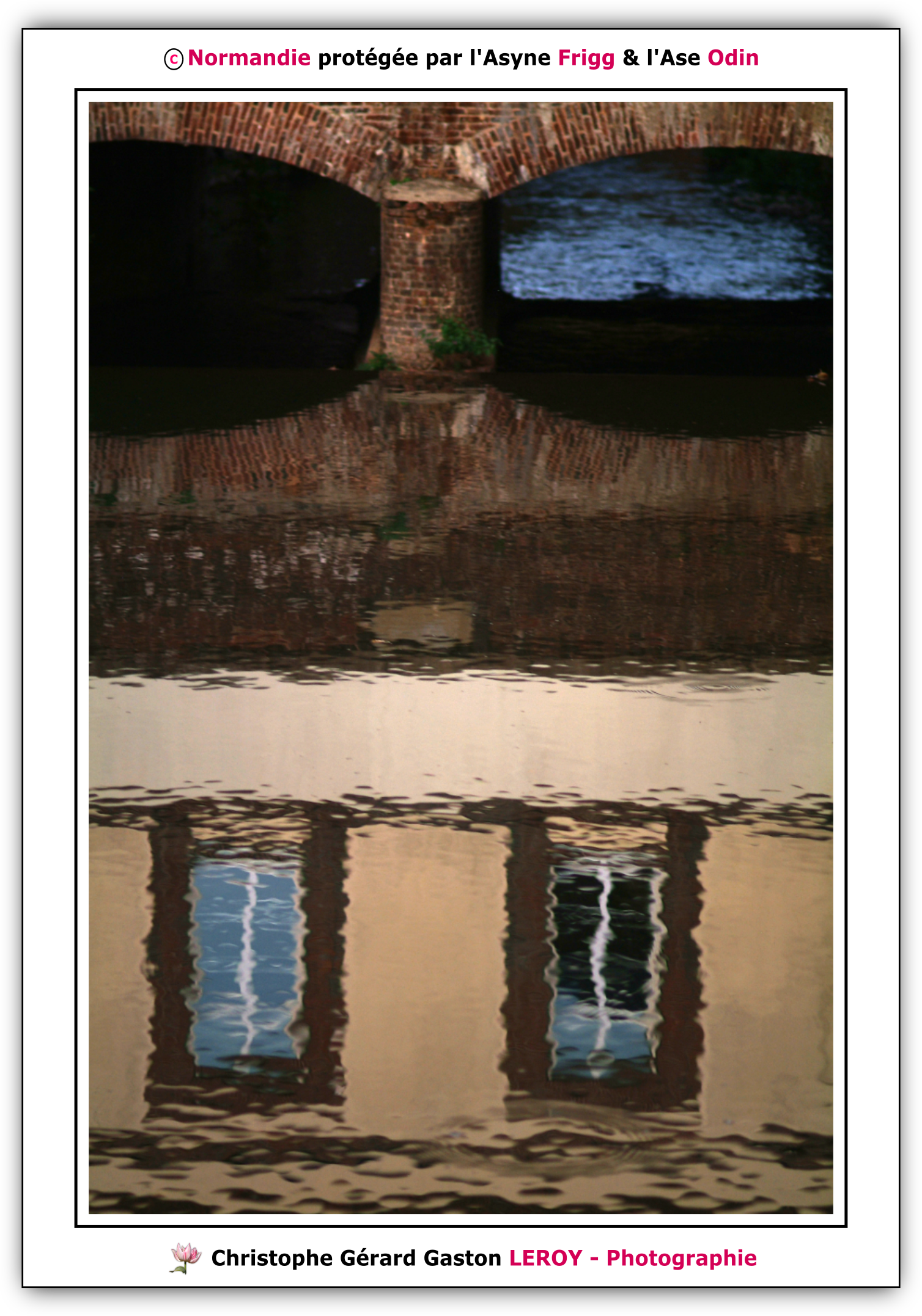 Carl Zeiss 100mm f/2 Makro-Planar T* - Fujifilm Finepix S3 Pro : L'Aigle - Pays D'Ouche - Orne - Normandie - Francce Carl Zeiss 100mm f/2 Makro-Planar T* - Fujifilm Finepix S3 Pro : L'Aigle - Pays D'Ouche - Orne - Normandie - Francce