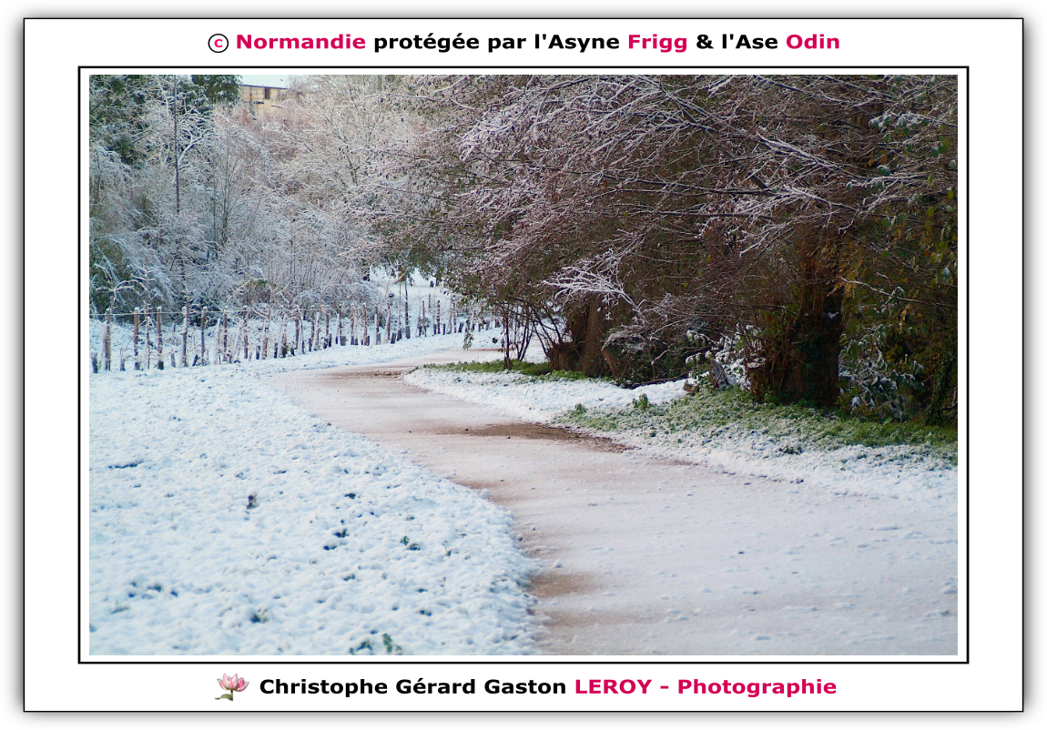 Neige sur les voies vertes de L'Aigle - Suite 5 Neige sur les voies vertes de L'Aigle - Suite 5