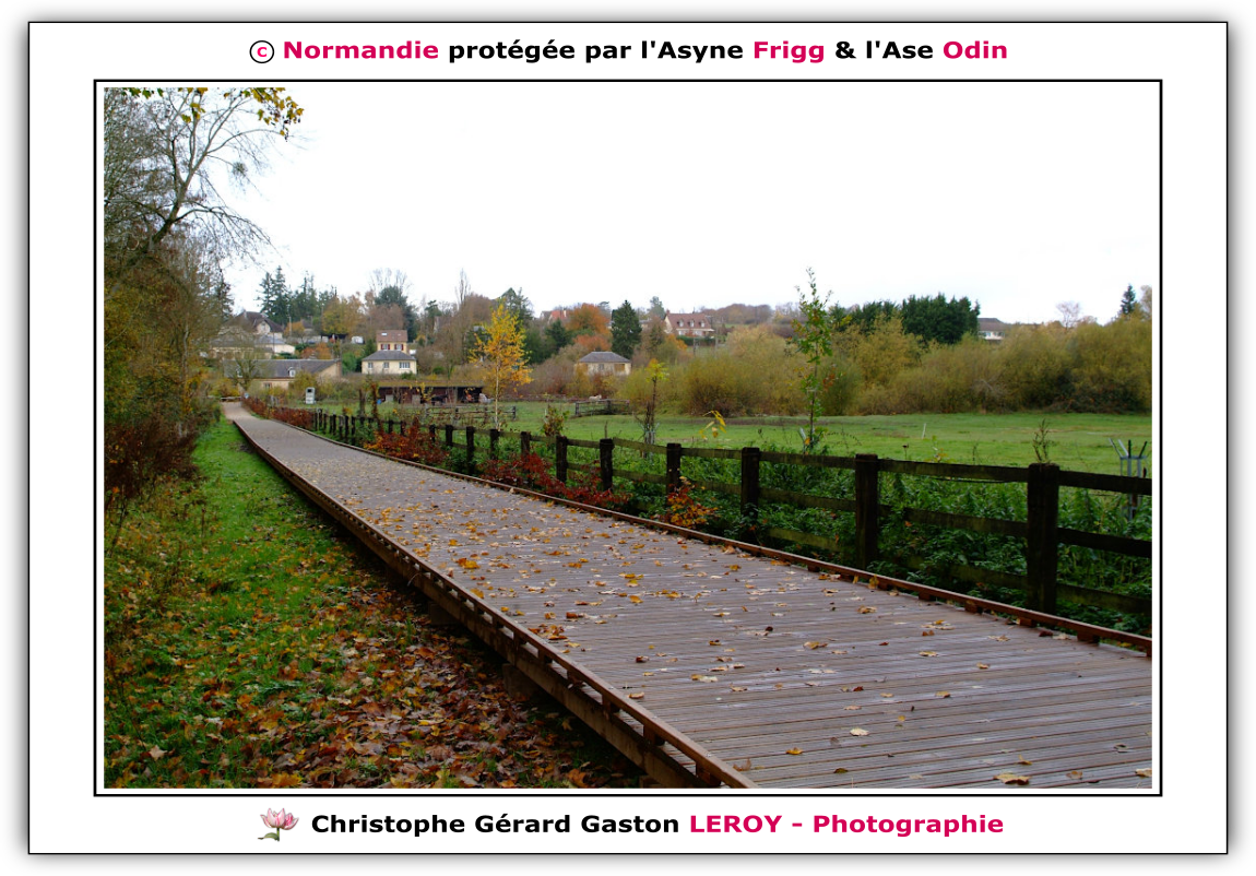 Voie verte des platanes à L'Aigle 61300, Orne, Normandie, France Voie verte des platanes à L'Aigle 61300, Orne, Normandie, France