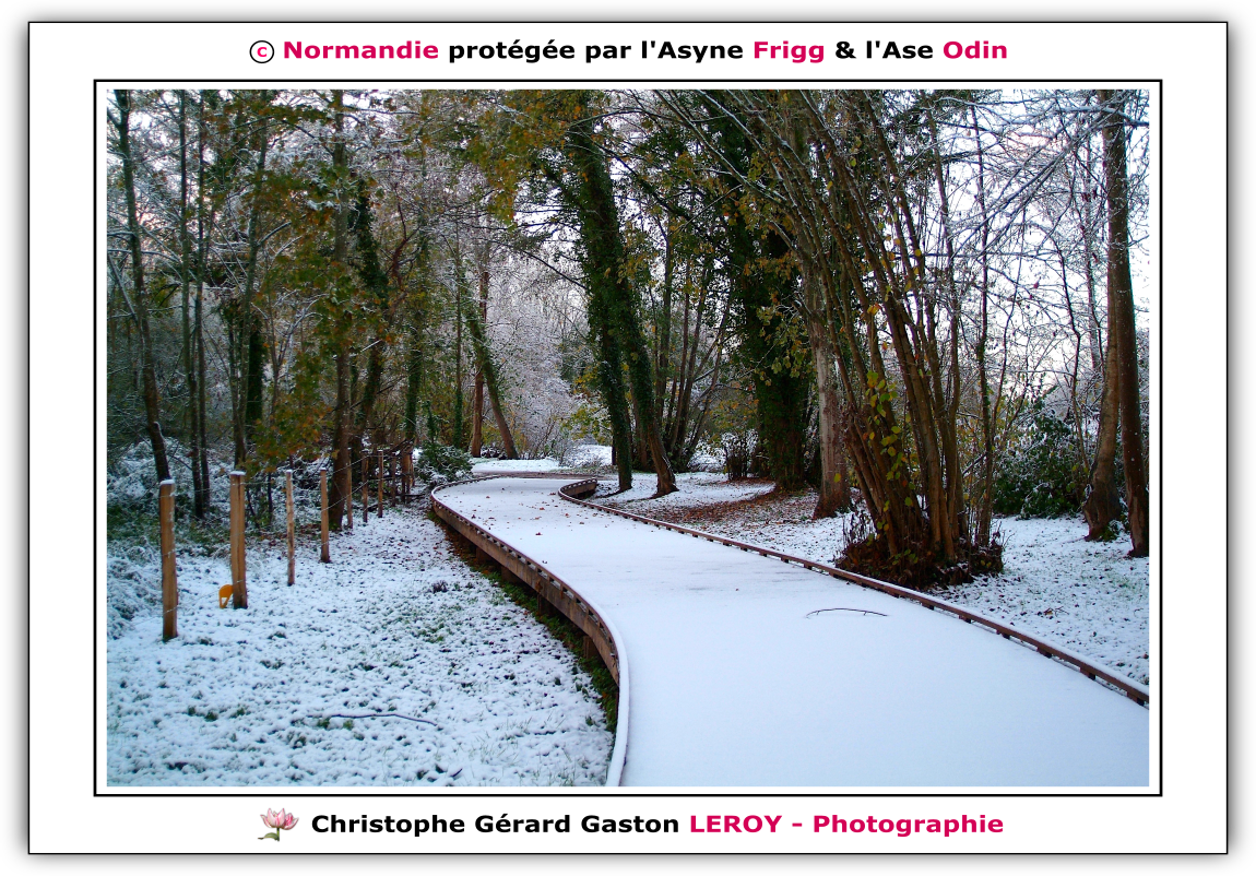 Neige sur les voies vertes de L'Aigle - Suite 3 Neige sur les voies vertes de L'Aigle - Suite 3