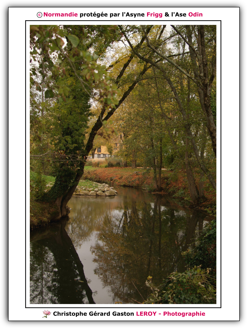 Fujifilm S3 Pro,Nikon 35-135mm F/3.5 - F/4.5,photos,Photos - L'Aigle,Photos - La Risle,Photos - Arbres,Photos - Rivière, Fujifilm S3 Pro,Nikon 35-135mm F/3.5 - F/4.5,photos,Photos - L'Aigle,Photos - La Risle,Photos - Arbres,Photos - Rivière,