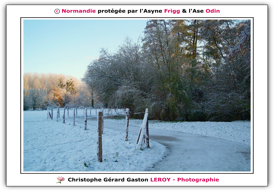 Neige sur les voies vertes de L'Aigle - Suite 5 Neige sur les voies vertes de L'Aigle - Suite 5