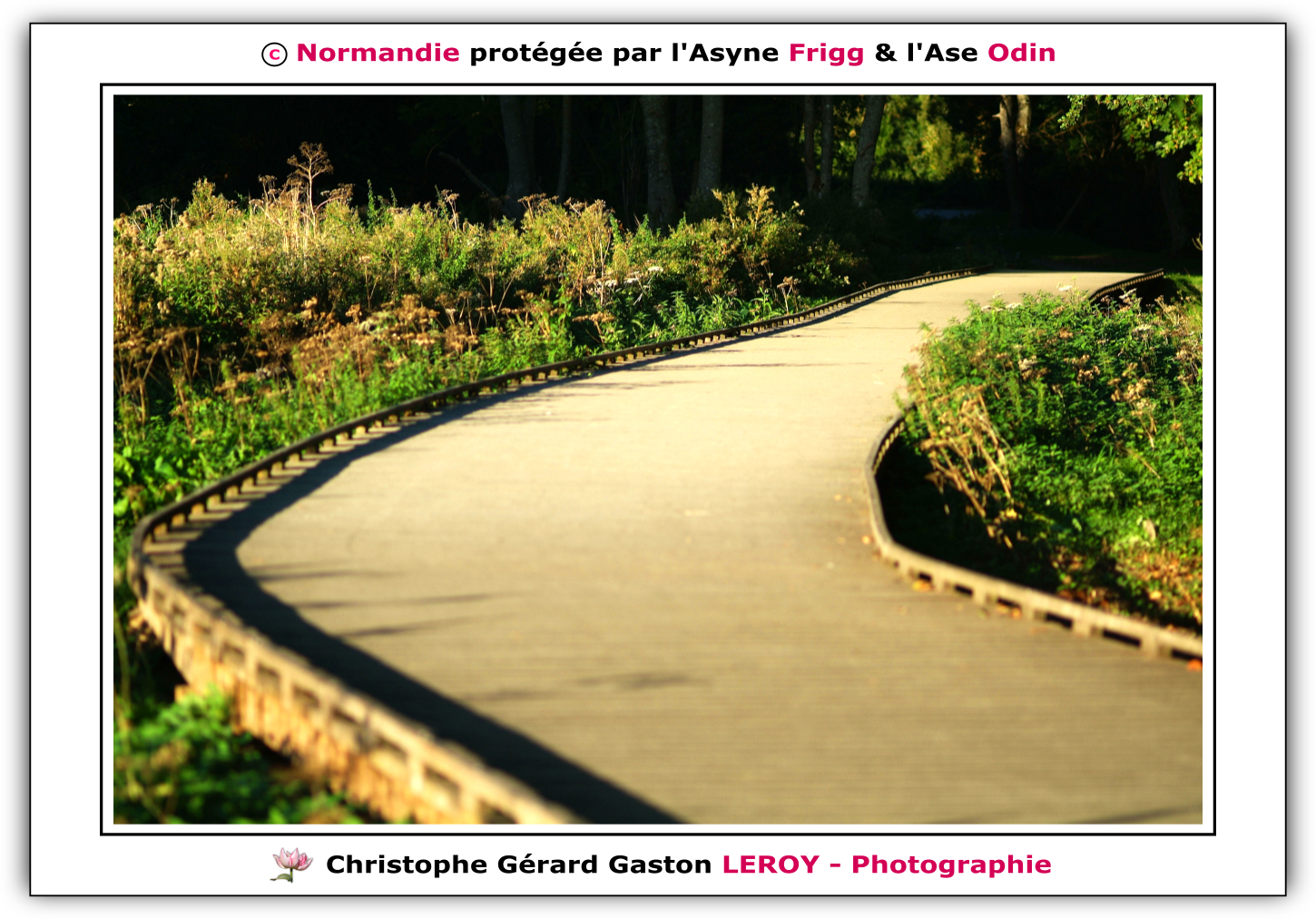 Carl Zeiss 100mm f/2 Makro-Planar T* - Fujifilm Finepix S3 Pro : L'Aigle - Pays D'Ouche - Orne - Normandie - Francce Carl Zeiss 100mm f/2 Makro-Planar T* - Fujifilm Finepix S3 Pro : L'Aigle - Pays D'Ouche - Orne - Normandie - Francce