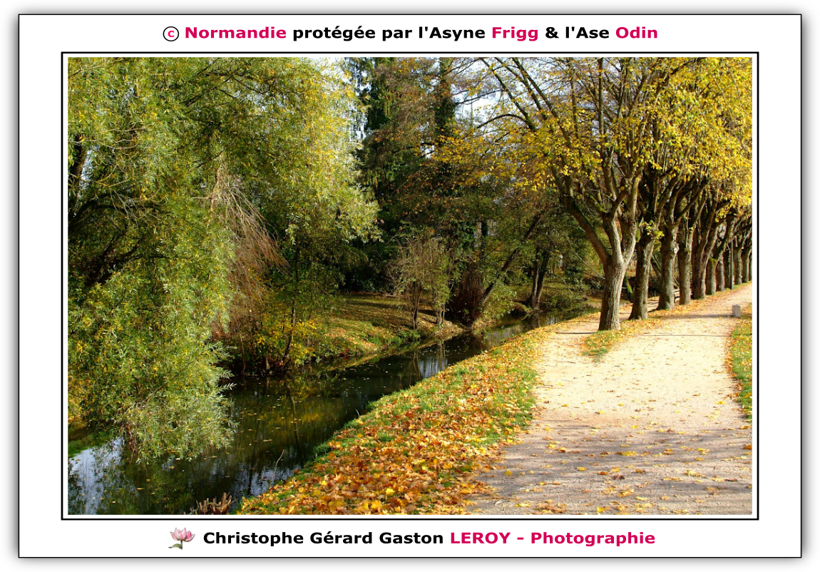 Rivière La Risle à L'Aigle 61300, Orne, Normandie, France Rivière La Risle à L'Aigle 61300, Orne, Normandie, France