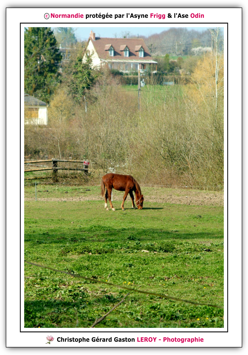 Synoptique n°9 : Cheval - Balade dans L'Aigle le jour du printemps 2026 - Suite 14 Synoptique n°9 : Cheval - Balade dans L'Aigle le jour du printemps 2026 - Suite 14