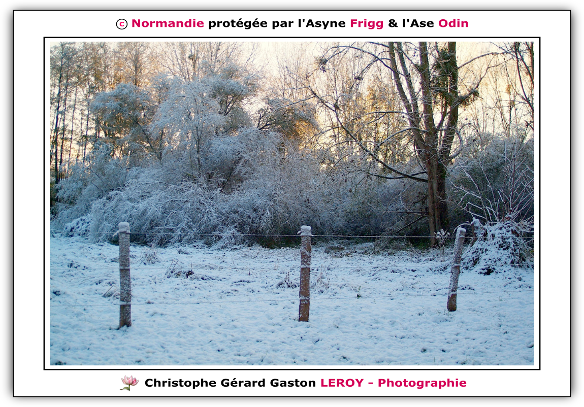 Neige sur les voies vertes de L'Aigle - Suite 5 Neige sur les voies vertes de L'Aigle - Suite 5