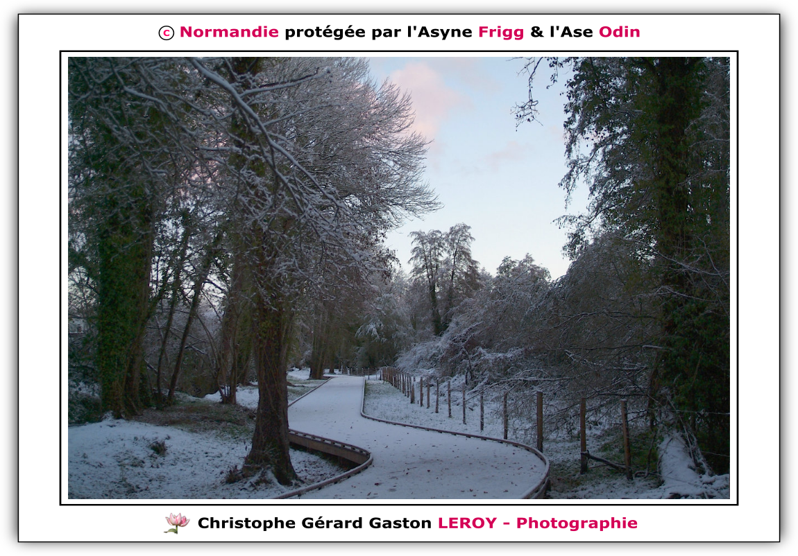 Neige sur les voies vertes de L'Aigle - Suite 3 Neige sur les voies vertes de L'Aigle - Suite 3
