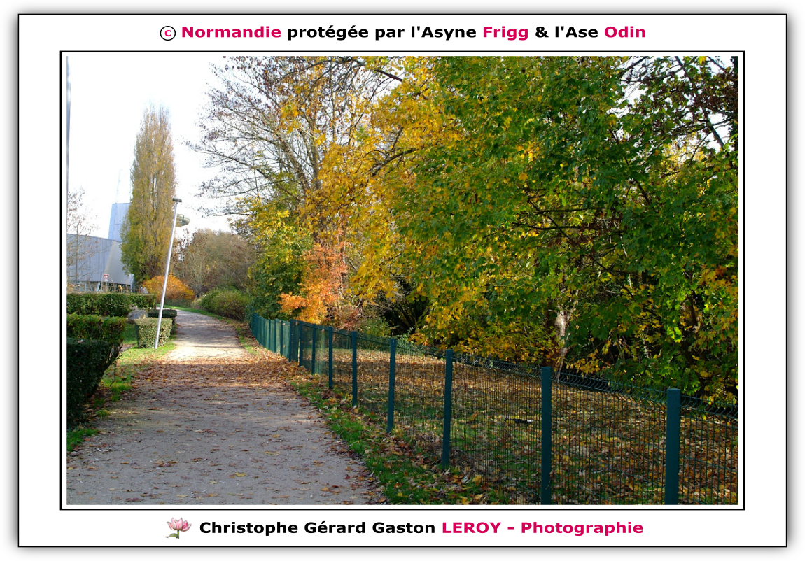 Rivière La Risle à L'Aigle 61300, Orne, Normandie, France Rivière La Risle à L'Aigle 61300, Orne, Normandie, France