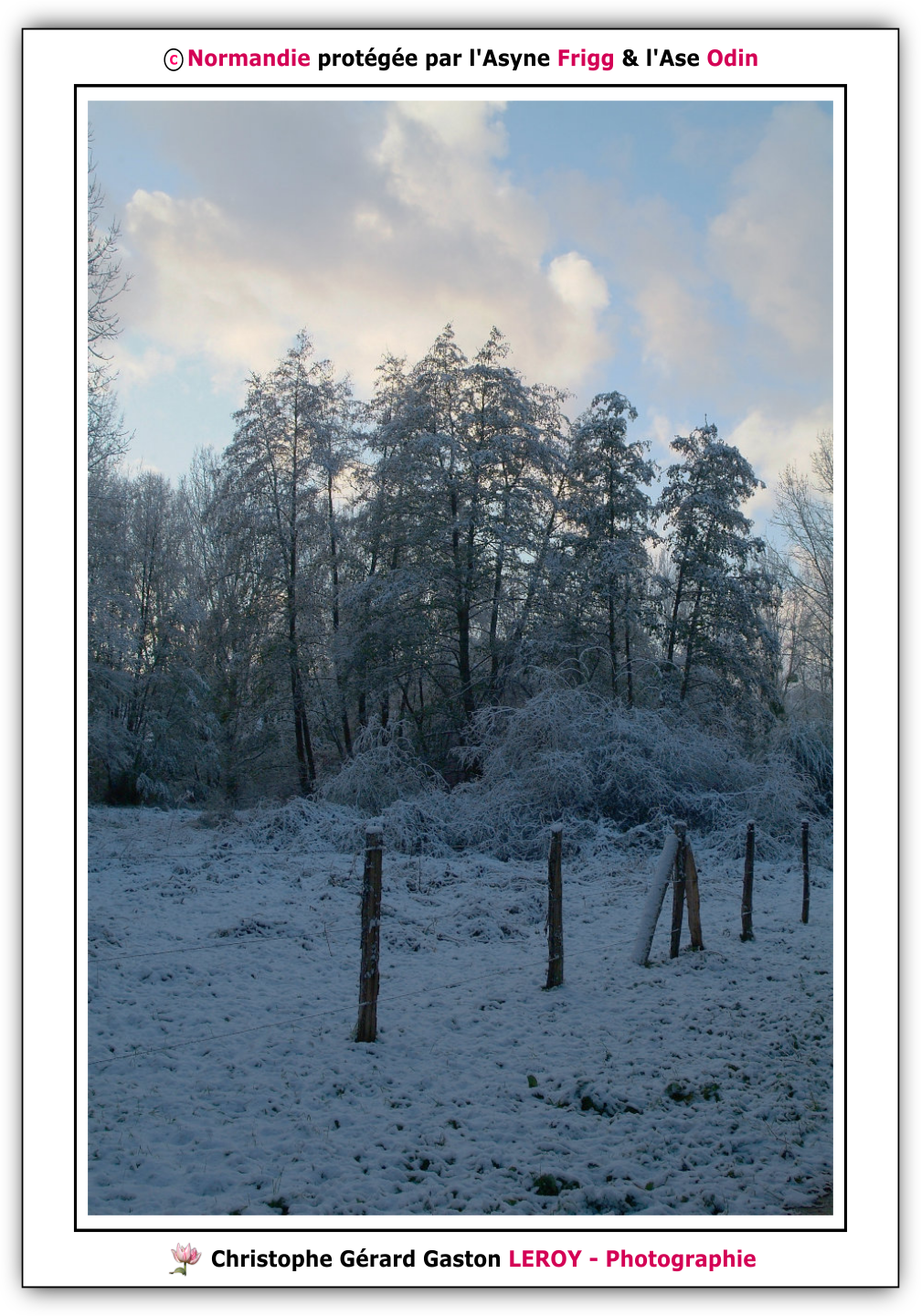 Neige sur les voies vertes de L'Aigle - Suite 5 Neige sur les voies vertes de L'Aigle - Suite 5