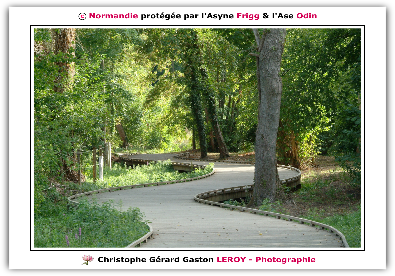 Carl Zeiss 100mm f/2 Makro-Planar T* - Fujifilm Finepix S3 Pro : L'Aigle - Pays D'Ouche - Orne - Normandie - Francce Carl Zeiss 100mm f/2 Makro-Planar T* - Fujifilm Finepix S3 Pro : L'Aigle - Pays D'Ouche - Orne - Normandie - Francce