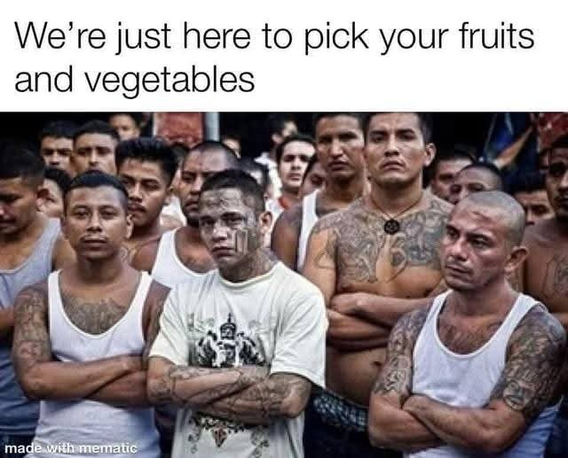 cf2b2de7a8b1105bd0e5cfaeaaa3457c.png